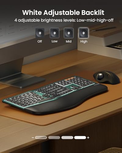 ProtoArc EK01 Plus Backlit Full Size Wireless Ergonomic Keyboard Green and EM11 NL Bluetooth Vertical Mouse Green