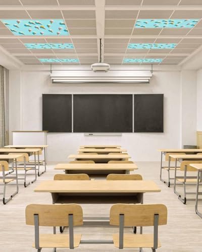 Ice Cream Magnetic Fluorescent Light Covers for Ceiling Lights 2 x 4 Feet,Summer Popsicle Tasty Desserts Food Frosting Office Classroom Kitchen Drop Ceiling Light Covers Filters Shade Panel 1 Pack