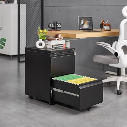 Guizeeopo 2 Drawer Locking File Cabinet, Fully Assembled Heavy-Duty Metal Filing Cabinets for Home Office, Quiet Slides, Anti-Tipping Wheels, Fits A4/Letter/Legal, Matte Black