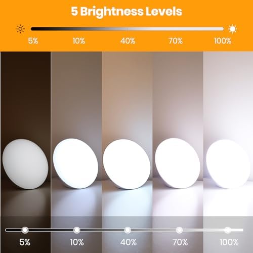 LASTAR Sun Lamp, 10,000 Lux Sunlight Lamp with 4 Color Temperatures & 5 Brightness & 1H Timer, Touch Control Daylight Lamp with Memory Function for Home