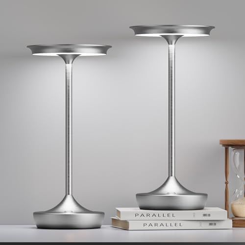 LED Rechargeable Cordless Outdoor 6000mAh Battery Table Lamp 2-Pack Silver