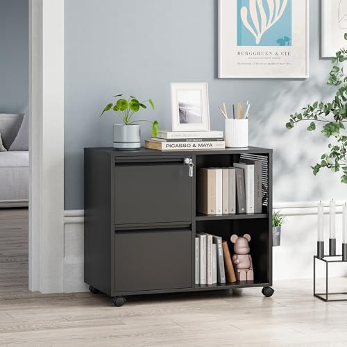MIIIKO 2 Drawer File Cabinet with Lock, Metal Lateral Rolling Printer Stand Filing Cabinets with Drawers for Home Office,A4, Letter Size File Folders(Black)