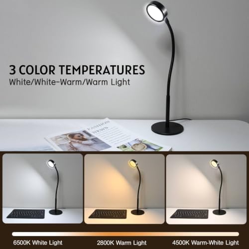 6W LED Desk Lamp with Gooseneck and US Adapter