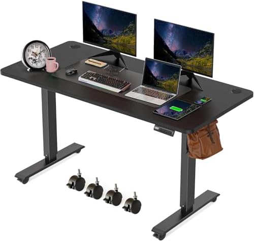 55'' × 24'' Height Adjustable Electric Standing Desk with Wheels