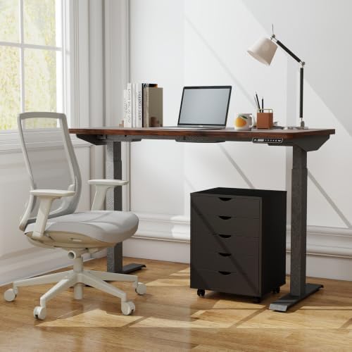 DUMOS 5 Drawer File Cabinet with Wheels, Office Storage Organizer Cabinet