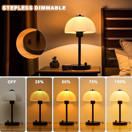 Glass Shade Table Lamp for Bedroom, Stepless Dimmable Bedside Lamps, Small Table with Premium Frosted Glass Shade, Desk Lamp Nightstand Lamp for Living Room, Bedroom, Office, Reading LED Bulb Included
