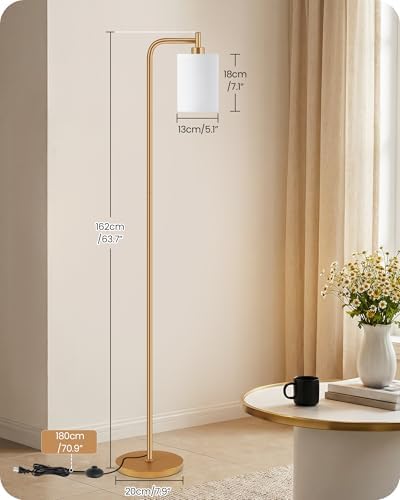 Dimmable Floor Lamp for Living Room with Remote & 10W Bulb