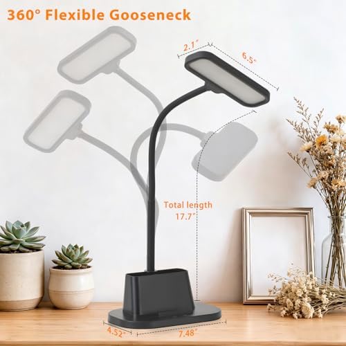 LED Desk Lamp for Dorm Small Desk Lamp with Pen Holder 5 Color Modes Black