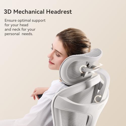 SIHOO Doro C300 Ergonomic Office Chair