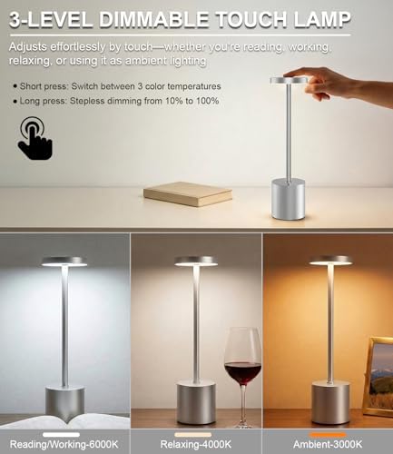 Silver Cordless Table Lamp Rechargeable - 2 Pack 5000mAH Battery Operated Lamp for Counter, 3 Color Stepless Dimming Waterproof LED Wireless Lamp for Dining Kitchen, Outdoor Patio, Touch Control