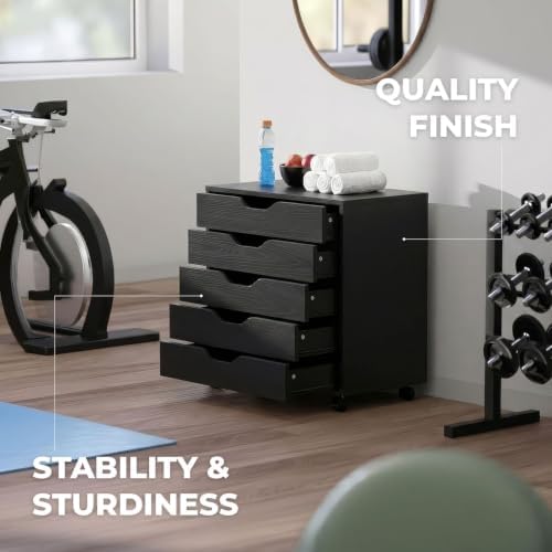 Winsome Halifax 5-Drawer Storage Cabinet, Black (20519)