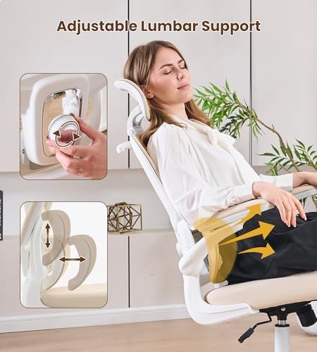 Ergonomic Office Chair, Executive Chairs with Adjustable Lumbar Support