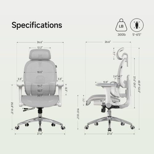 X19 Ergonomic Office Chair, 3-Zone Lumbar for Back Pain Relief