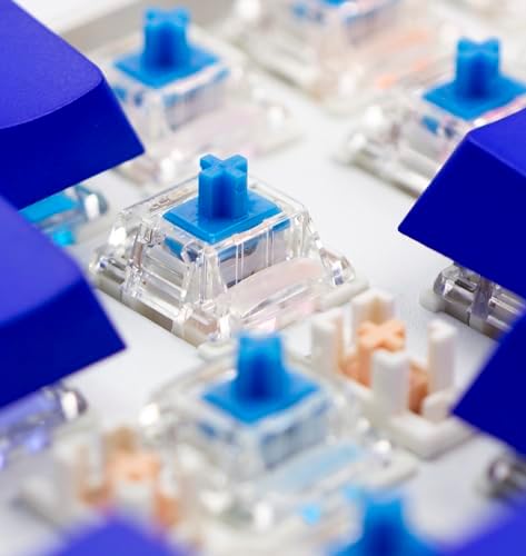 Gateron 70Pcs Pre lubed G pro V3.0 MX Mechanical Gaming Keyboard Split Tactile 60gf Switches,POM Stem Linear RGB SMD Switches 3 pin (Blue)