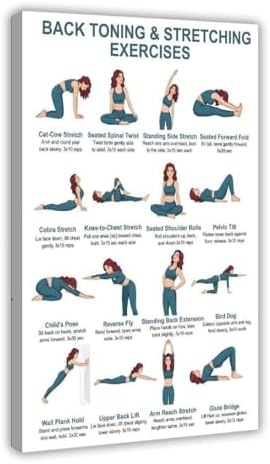 Back Exercises Seated And Standing Back Exercise Upper And Lower Home Workout Chart Gentle No Equipment Exercise Canvas Poster Bedroom Decor Room Decor Frame 12x18inch