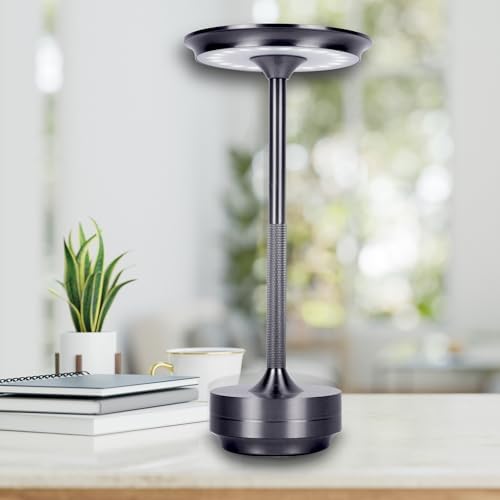 Cordless Table Lamps Rechargeable, Portable Battery Operated Lamp, 3 Color Stepless Dimming LED Table Light with Memory Function, for Outdoor/Dinner/Patio/Restaurant (Dark Silver)