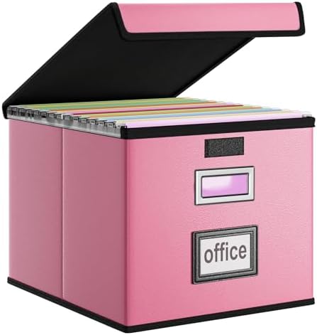 File Organizer Box with Lids, Collapsible File Folder Organizer