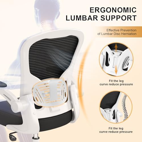 Synorla Office Chair|Ergonomic Desk Chairs 330LBS Capacity
