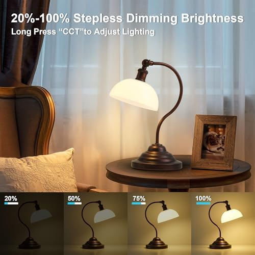 Cordless Table Lamp, Battery Operated Vintage Desk Light, Bronze & White