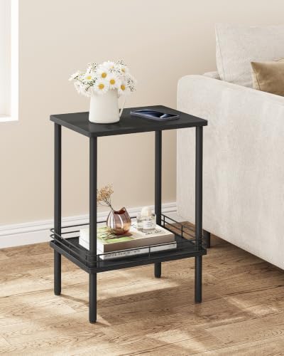 DGSANDGO Modern Small Side Table with Storage, 2-Tier Black End Table