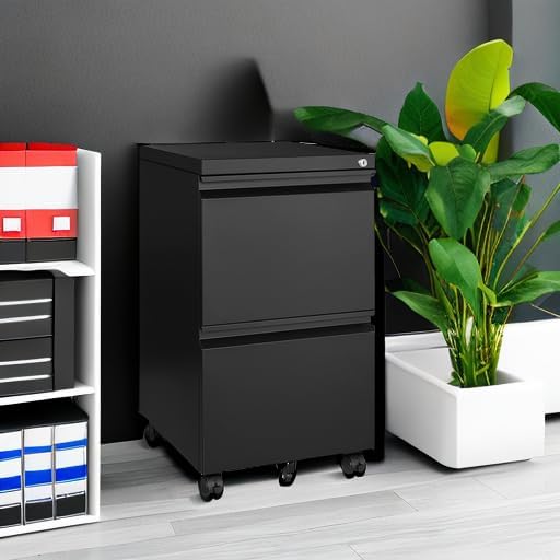 BYNSOE 2 Drawers File Cabinet with Lock Metal Vertical File Cabient with Wheels Mobile File Cabinet for Office Home Legal/Letter/a4 Size Require Assembly