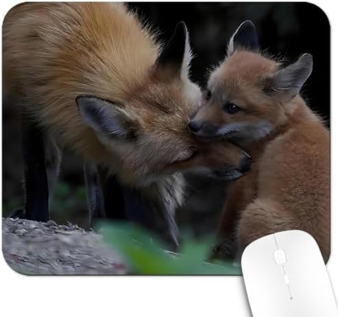 9.5x7.9 Inch Office/Gaming Mouse Pad, Lovely Red Fox Cub Wildlife Family, Cute Anti-Slip Mat for Desk Decor