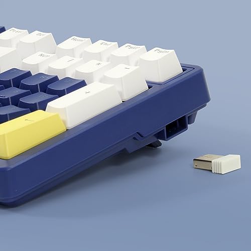 Merdia Wireless Mechanical Keyboard, Triple Mode 2.4G/USB-C/BT Gaming Keyboards 100 Keys Ice-Blue Backlit, Brown Switch Keyboard | Rechargeable Mechanical Gaming Keyboards | Blue/White/Yellow