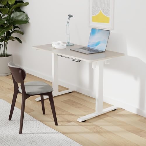 SHW 48-Inch Electric Height Adjustable Sit to Stand Desk, Maple