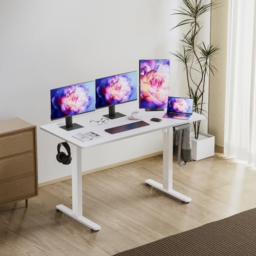 Electric Height Adjustable Standing Desk, 48 * 24 Inch Sit Stand Up Desk, Ergonomic Computer Desk with 2 Headphone Hook for Home Office Sturdy Writing Workstation, Gaming Room