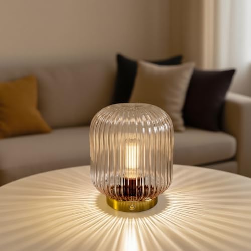 MJ PREMIER Rechargeable Table Lamp,Cordless Lamp with Memory Function,Clear