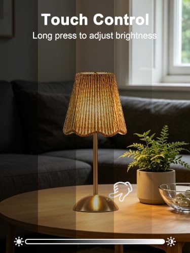 2 Pack Boho Rattan Lamp,Small Wicker Lamp,Rechargeable Led Desk Lamp