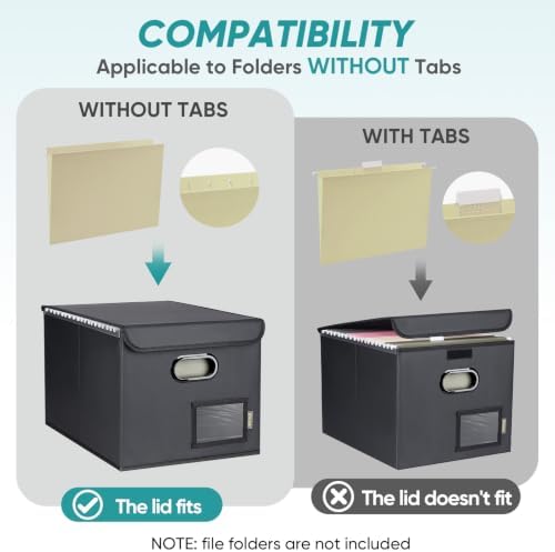 BALEINE File Organizer Box with Lid, Collapsible Hanging File Storage Box