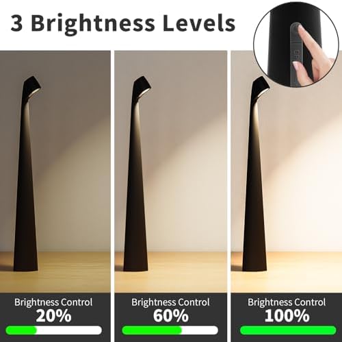 HAPYGI Cordless Rechargeable Reading Metal Table Lamp, 3-Level Brightness