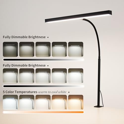 LED Desk Lamp for Office Home, Adjustable Flexible Eye-Caring Desk Light with,5 Modes 10 Brightness Adjustment, USB Adapter Desk Lamp with Clamp-T-B
