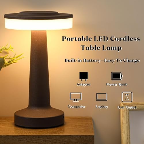 Riakrum 1 Pcs LED Cordless Table Lamp Bulk Rechargeable,Brown