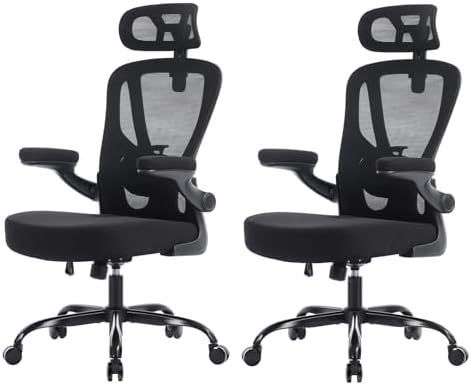 Ergonomic Office Chair, High Back Mesh Desk Chair, Black, 2 Pack