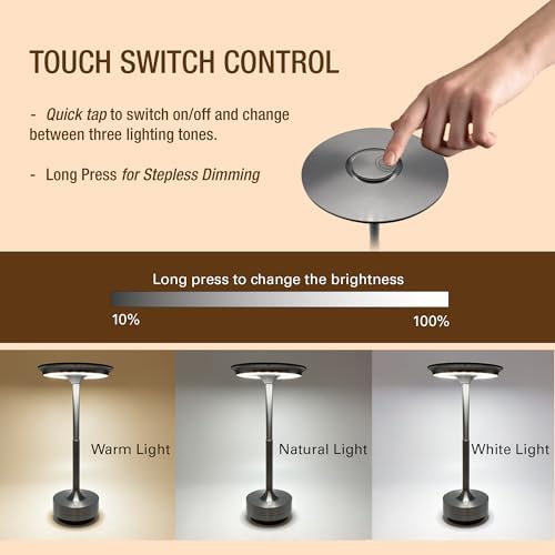Cordless Table Lamps Rechargeable, Portable Battery Operated Lamp, 3 Color Stepless Dimming LED Table Light with Memory Function, for Outdoor/Dinner/Patio/Restaurant (Dark Silver)