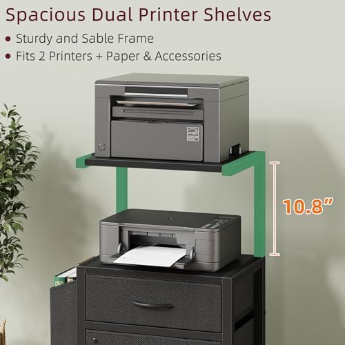 HIGDBFE File Cabinet with 2 Fabric Drawers and Printer Stand, Black