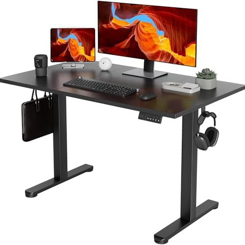 YDN 48 x 24 Inch Black Electric Standing Desk