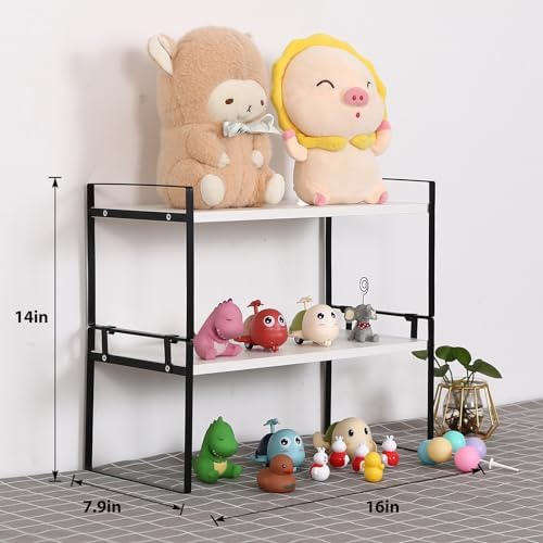 YGYQZ Desk Shelf Organizer, 2-Tier Desktop Bookshelf, Black & White