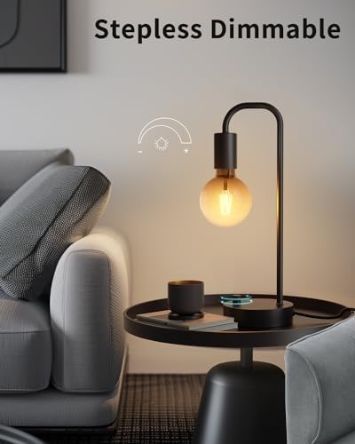 ONEWISH Industrial Table Lamp with 2 USB Port, Fully Dimmable Nightstand Bedside Lamps for Bedroom,Desk Lamps with 2700K Black Gradient Bulb for Reading Living Room,Office