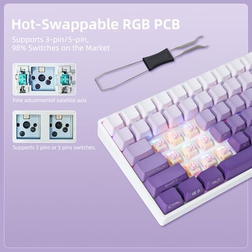 ZORNHER ZH100 Wireless Mechanical Keyboard,98% Purple Creamy Keyboard with Number Pad,Full Size Gaming Keyboard,Lighted Up PBT Dipped Keycaps,KKT Red Switches