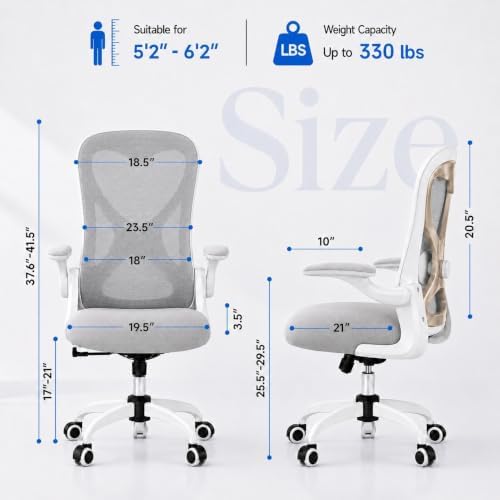 Ergonomic Home Office Chair, 4-Way Lumbar, Thick Cushion, 330LBS (Gray/Champagne)