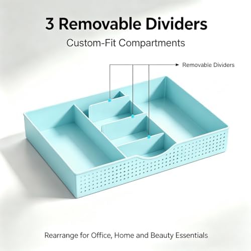 gianotter Desk Organizers and Accessories, Monitor Stand with Drawer and 2 Pen Holder, Desktop Organizer Suitable for Offices and Dormitories (Blue)