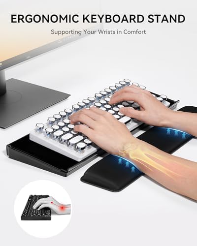 Laborio Computer Keyboard Stand with Storage Box, Keyboard Riser Wrist Rest for Desktop, Office Desk Organizer Accessories(Clear Black)