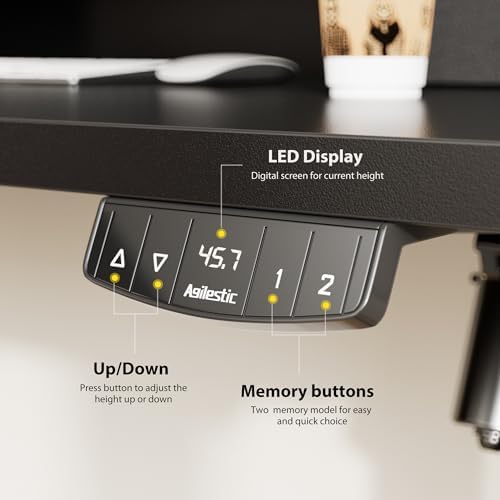 Agilestic 55 * 24 Inch Electric Standing Desk with Drawers, Black