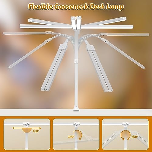 LED Desk Lamp with Clamp and Base, Dual Head Monitor Light
