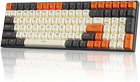 RK ROYAL KLUDGE RK100 Wireless Mechanical Keyboard RGB Backlit Bluetooth5.1/2.4G/Wired 96% Full Size 100-Key Hot Swappable Gaming Keyboard Blue Switch Carbon