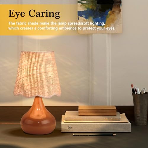 Ziqqeelam Brown Small Bedside Table Lamp for Bedroom, Farmhouse Bedroom Lamps for Nightstand, Rattan Lamp Shade Table Lamps for Small Spaces for Kitchen Counter, Home Office, Living Room, Kids Dorm