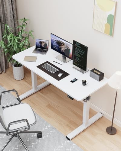 48" Large Electric Standing Desk Adjustable Height for Home Office